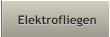 Elektrofliegen Elektrofliegen