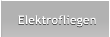 Elektrofliegen Elektrofliegen
