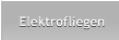 Elektrofliegen Elektrofliegen