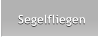 Segelfliegen Segelfliegen